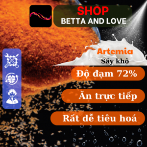 Artemia sấy khô