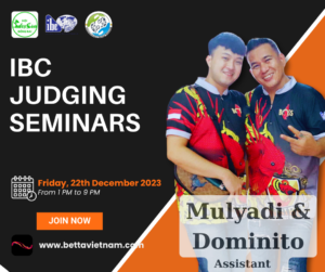 ibcjudging
seminars 02