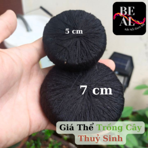 giá thể thuỷ sinh