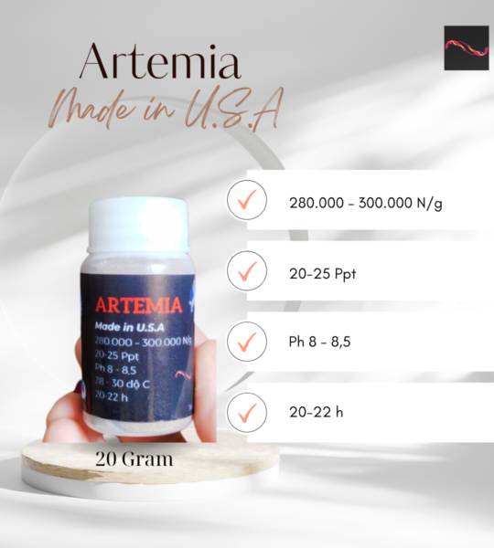 Artemia Mỹ Loại 1 đáy vàng loại 20 Gram – Date mới nhất – Giá sỉ cho trại cá – Tỉ lệ Nở trên >90% – Ấp chỉ 20 tiếng là nở bung dù