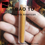 Bảo Tử Atermia 100% – 75% độ đạm – Cam Kết Không Pha Vỏ Tôm – Xuất xứ U.S.A – 3gram