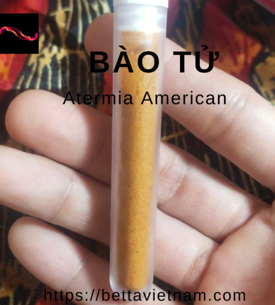 Bảo Tử Atermia 100% – 75% độ đạm – Cam Kết Không Pha Vỏ Tôm – Xuất xứ U.S.A – 3gram