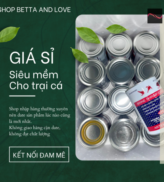 Artemia Mỹ Loại 1 đáy vàng – Loại 425 Gram – Date mới nhất – Giá sỉ cho trại cá – Tỉ lệ Nở trên >90% – Ấp chỉ 20 tiếng là nở bung dù