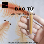 Bảo Tử Atermia 100% – 75% độ đạm – Cam Kết Không Pha Vỏ Tôm – Xuất xứ U.S.A – 3gram