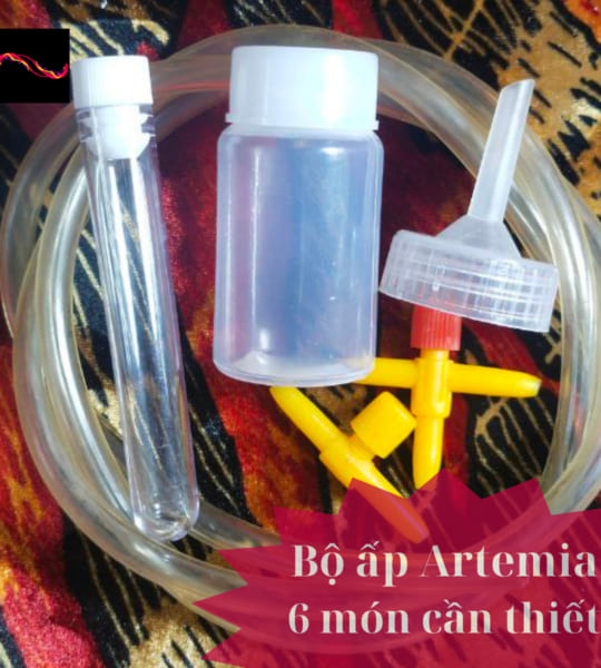 Bộ ấp Artemia – 6 món cần thiết – Hàng loại 1