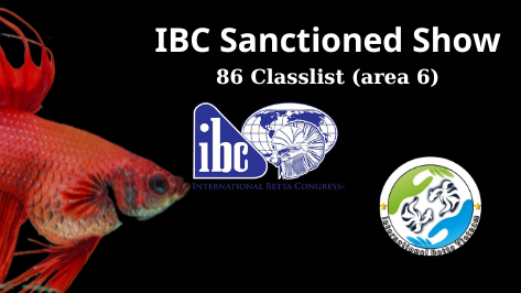 86 IBC Classlist( Area 6) – IBC Sanctioned Show 22-24/12 tại Biên Hoà Đồng Nai