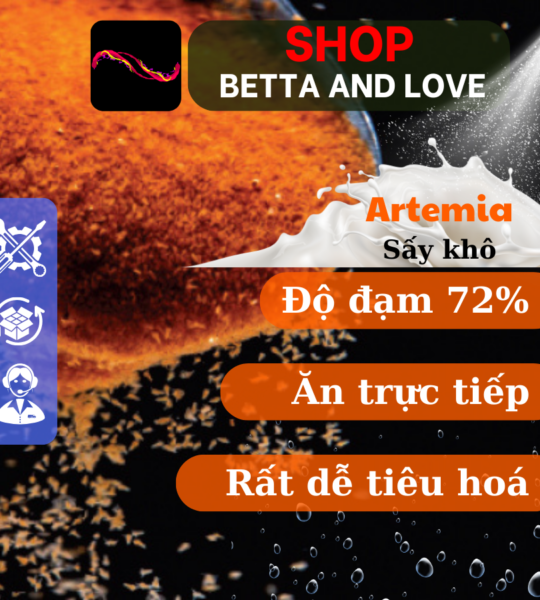 Artemia sấy khô – 50g – 72% độ đạm – không cần ấp – Giá sỉ cho đại lý – Shop Betta And Love