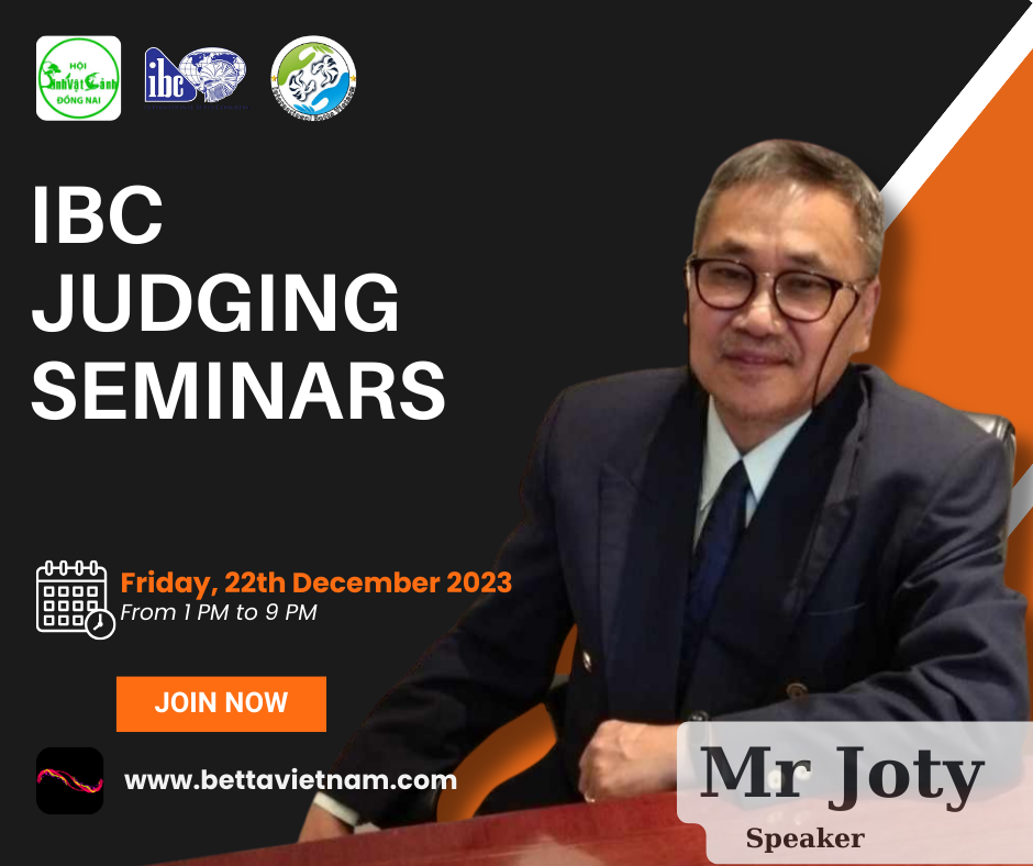 Ibc Judging Seminars – 22/12/2023 Từ 13h đến 21h – Betta And Love-Kết Nối Đam Mê