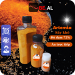 Artemia say kho (11)