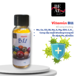 Vitamin B11