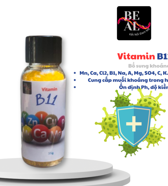 Vitamin B11