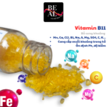 Vitamin B11