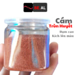 cám mix