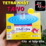 tetre nhật