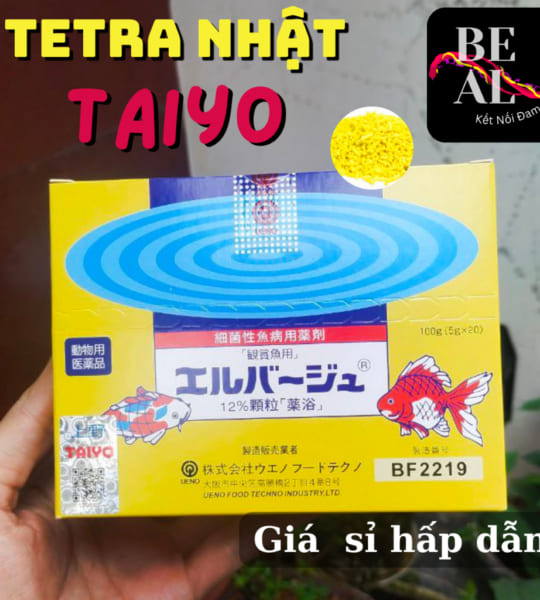 Tetra nhật hộp nguyên seal 20 gói