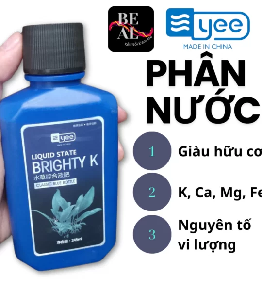 Phân bón nước thuỷ sinh cung cấp dưỡng chất cần thiết cho cây