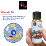 Vitamin B11