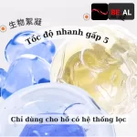 Vi sinh bể cá