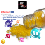 Vitamin B11