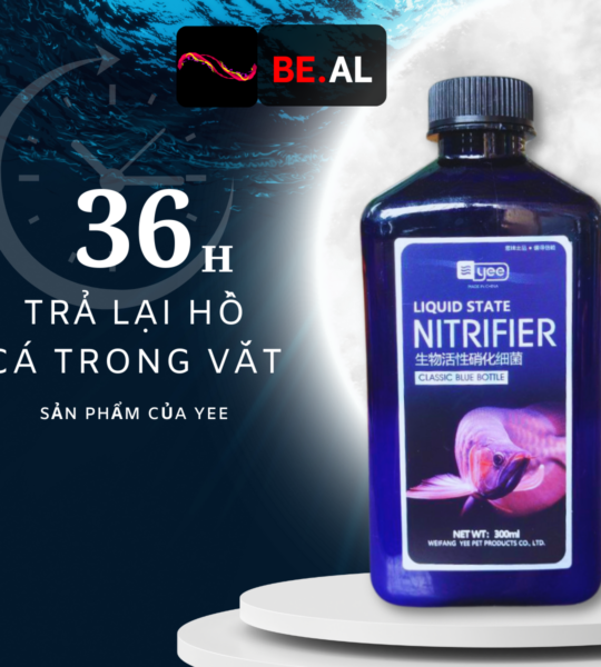 Vi sinh bể cá Nitrifier khử khuẩn, phòng bệnh– Betta And Love