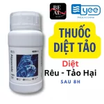 Thuốc diệt tảo Algaecide