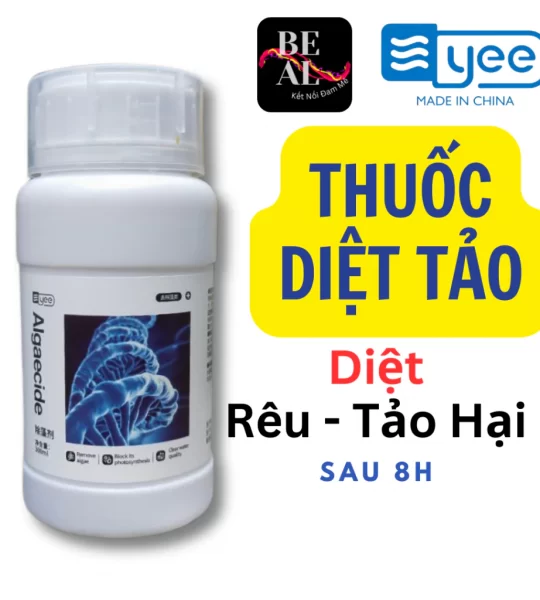 Thuốc diệt tảo Algaecide 300ml – tẩy rong rêu tảo hồ cá