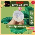 nắp ấp trứng artemia