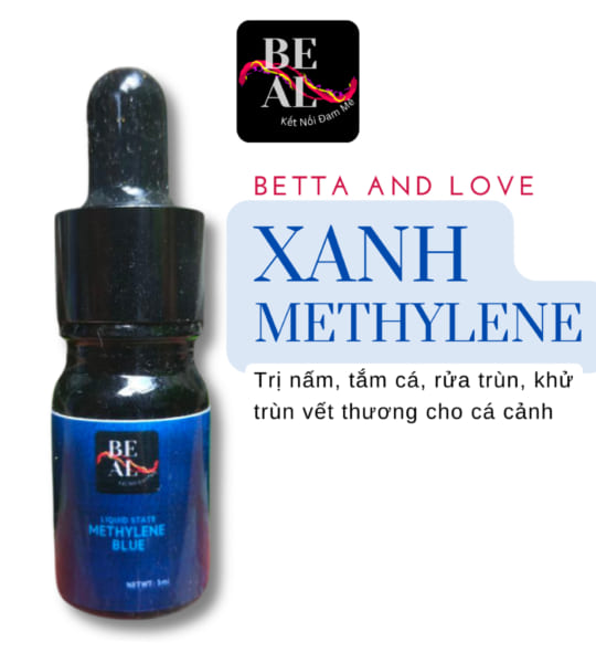 Xanh Methylen Cho Cá Hướng Dẫn Chi Tiết