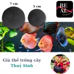 Giá thể thuỷ sinh