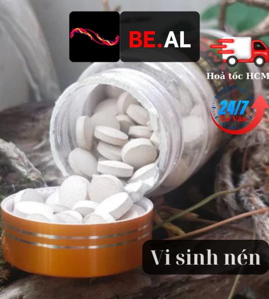 Men Vi Sinh Viên Nén – Hộp 50 Viên